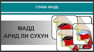 Айман Сувейд. 28. Мадд арид ли сукун (с субтитрами на русском)