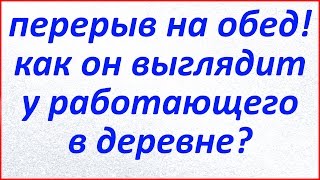 Жизнь в деревне. Обеденный перерыв