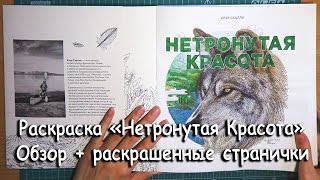 Раскраска Нетронутая красота / Обзор и раскрашенные страницы