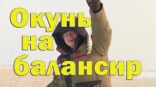 Рыбалка по окуню со льда. Зимняя рыбалка на Чанах