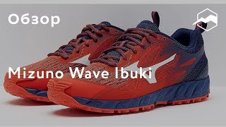 Кроссовки Mizuno Wave Ibuki. Обзор