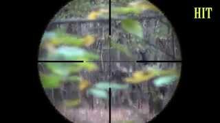 [AIRSOFT] Sniper Scope Cam Bolt 400 Fps #5