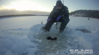 "Клевая рыбалка - утренний клев окуня! Якутия Yakutia