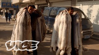China’s Obsession with Mink Coats