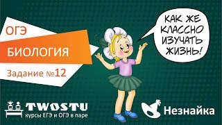 ОГЭ по биологии. Вариант № 1 – задание 12