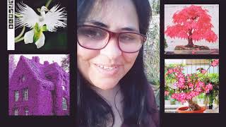 ?SEMENTES Chegaram...BORA TESTAR !!flores e Plantas Raras, vou contar tudo pra vc..!!!??