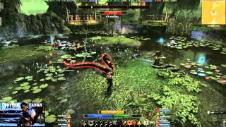Veteran Maelstrom Arena - Stage 3 Stamina (Dragonknight)