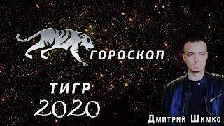 Гороскоп Тигр -2020. Астротиполог, Нумеролог - Дмитрий Шимко