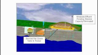 Mound Septic System - Function, Failure & Restoration