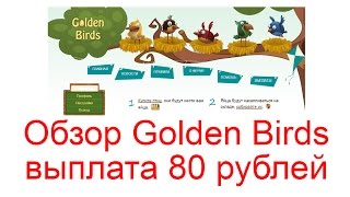 Обзор Golden Birds (заработок на яйцах) - выплата 80 рублей
