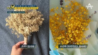 오후엔 꽃집이다! 시들지 않는 꽃 보존화를 아시나요?(a.k.a 프리저브드 플라워) l 관찰카메라 24 83회