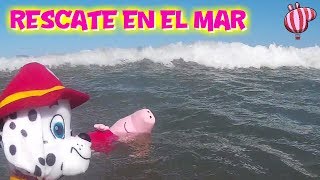 La Patrulla Canina rescata a Peppa Pig en el mar | Vídeos de Peppa Pig en español