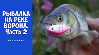 Рыбалка в Тамбовской области. Часть 2