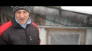 Советы начинающим по козоводству. Выбор породы коз.Содержание и нюансы.Случка коз.