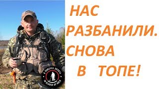 Дмитрий Мусихин снова в ТОПЕ. Разбанили канал В ПОИСКАХ ЗОЛОТА!