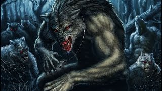 Бесконечные прохождения The Elder Scrolls V: Skyrim: #11 ТЕПЕРЬ Я ОБОРОТЕНЬ!