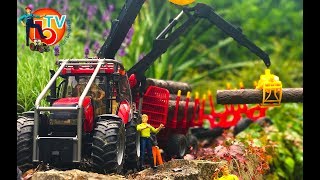 BRUDER Traktor CASE Forestry with trailer and trunks  | Kids Videos