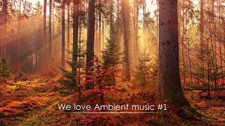 We are love Ambient music #1