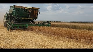 Начинаем уборку канадского ячменя. Уборка 2019!!!14.06.2019