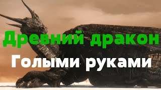 Dark Souls 2 scholar of the first sin - Древний дракон. Голыми руками. No damage(Без эстусов).