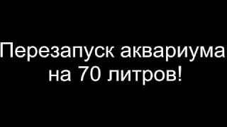 Перезапуск аквариума 70 литров,1 Часть)