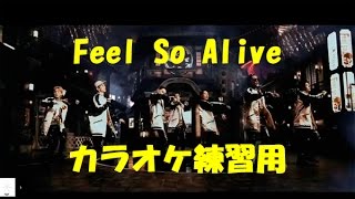 Feel So Alive 三代目Jsoul Brothers　カラオケ