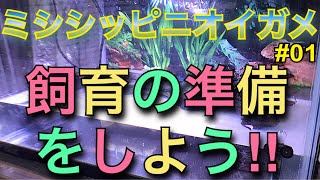 【ミシシッピニオイガメ】飼育 01 飼育の準備を始めよう‼︎