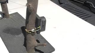 cheap perimeter alarm for security