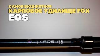 Бюджетное карповое удилище FOX EOS. Часть 1. Визуальный осмотр