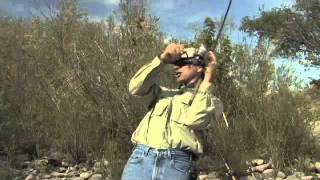 Bobber 'n Jig Steelhead Fishing on the Clearwater River
