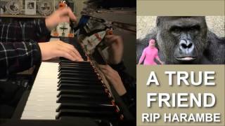 FILTHY FRANK - "A TRUE FRIEND" - HARAMBE TRIBUTE SONG (Piano Cover by Amosdoll)