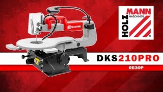 ЛОБЗИКОВАЯ ПИЛА, ЛОБЗИК ПО ДЕРЕВУ DKS21PRO / HOLZMANN MASCHINEN / ОБЗОР
