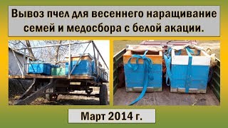 Вывоз пчел для весеннего наращивание семей и медосбора с белой акации ☆ Конец марта 2014 г.