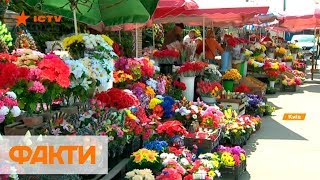 Искусственные цветы и украшения на кладбищах: почему вредны и какие альтернативы