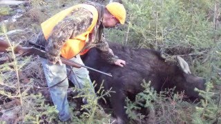 Eustis Maine Moose Hunt 2011