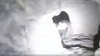 4 Video Huyền Bí Ghi Lại Bởi Những Người Đi Rừng Khám Phá