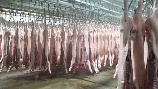 The  Creepy  Slaughter  House
