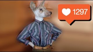Как это в Instagram может быть популярным?
