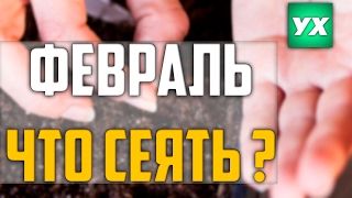 Что нужно сеять в феврале?