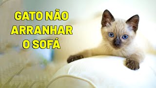 TECIDO PARA OS GATOS NÃO ARRANHAREM O SOFÁ ? - Gatil Hauser