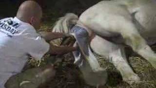 'Caspar' Being Born