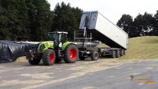 Maisernte 2013 Terhuf Agrarservice [HD]