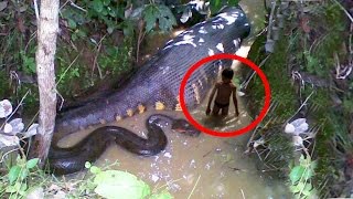 10 САМЫХ ОПАСНЫХ ЖИВОТНЫХ В МИРЕ