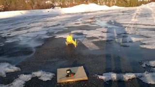 Align T-Rex 600 Nitro Pro - Eurocopter 355N scale body