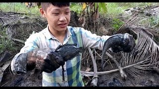 Bắt cá cạn ở Miền Tây thiệt đã quá bà con | catch fish in shallow water in Vietnam