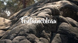 Bouldering in Fontainebleau | Le Goût