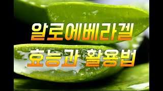 알로에베라겔 효능과 활용법 다이어트 피부미용 건강에 좋은 만병통지약 알로에 먹는 방법