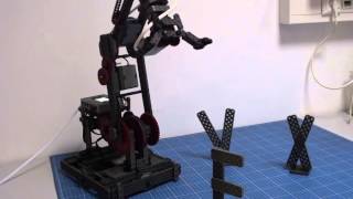 VEX IQ Robotics