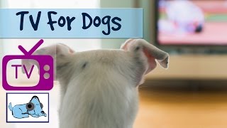 Tv For Dogs Combined with Soothing Music for Dogs - Relaxing Visuals for dogs - Calm your dog