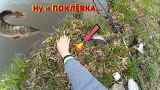 Рыбалка на РЕЗИНКУ ! У карася ЖОР?!